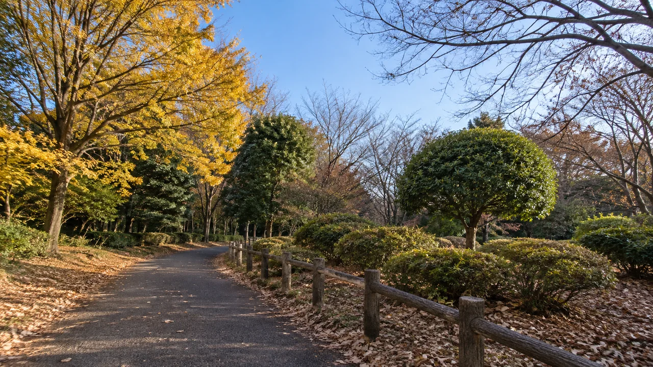 木々の間を続く園路(AI生成の参考イメージ)