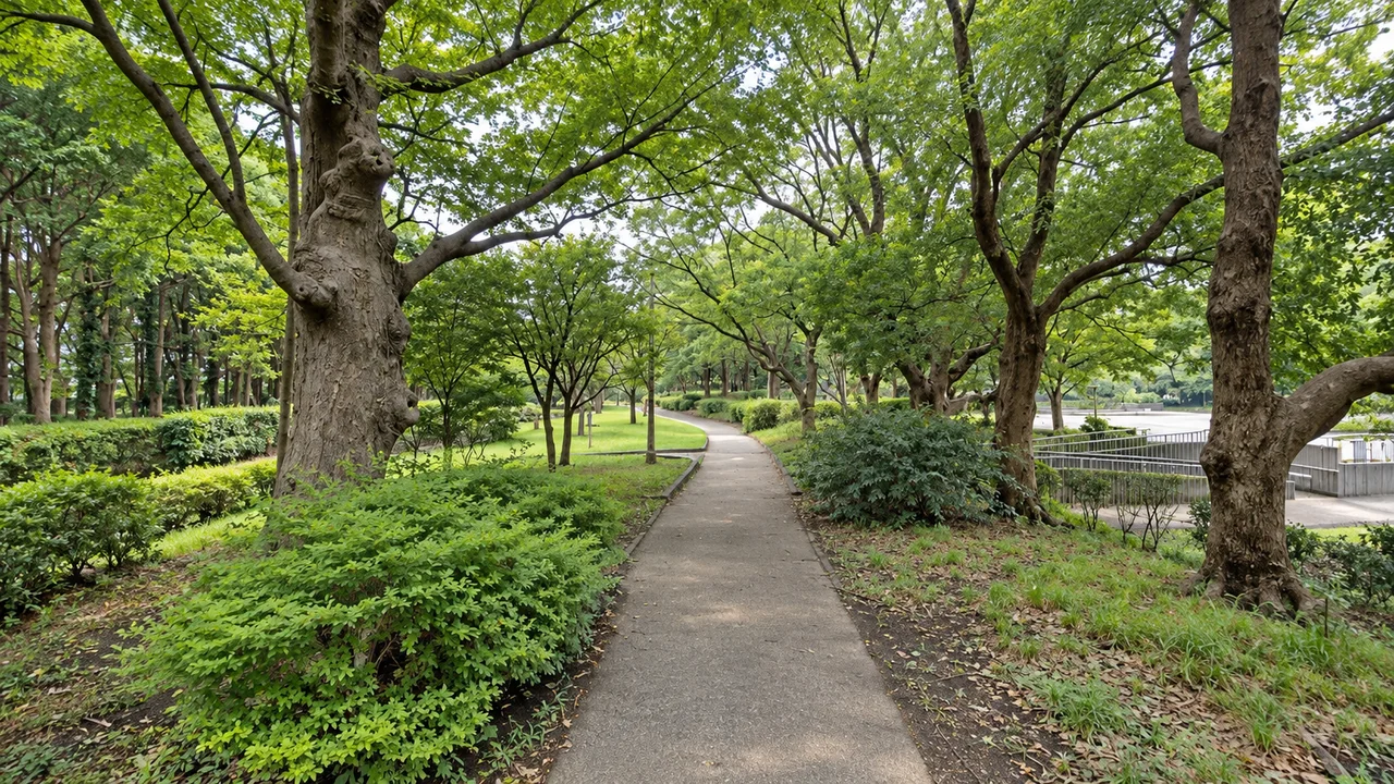 平和の森公園の木陰（AI生成の参考イメージ）