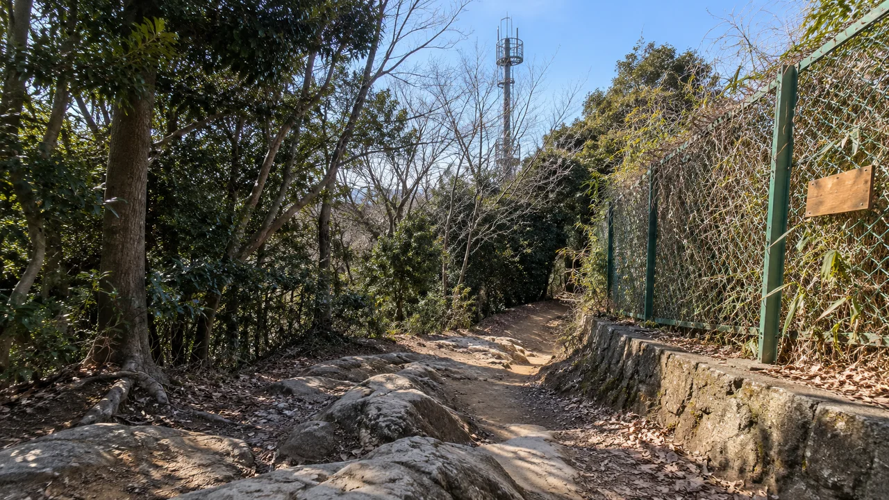 大平山付近の岩混じりの道(AI生成の参考イメージ)