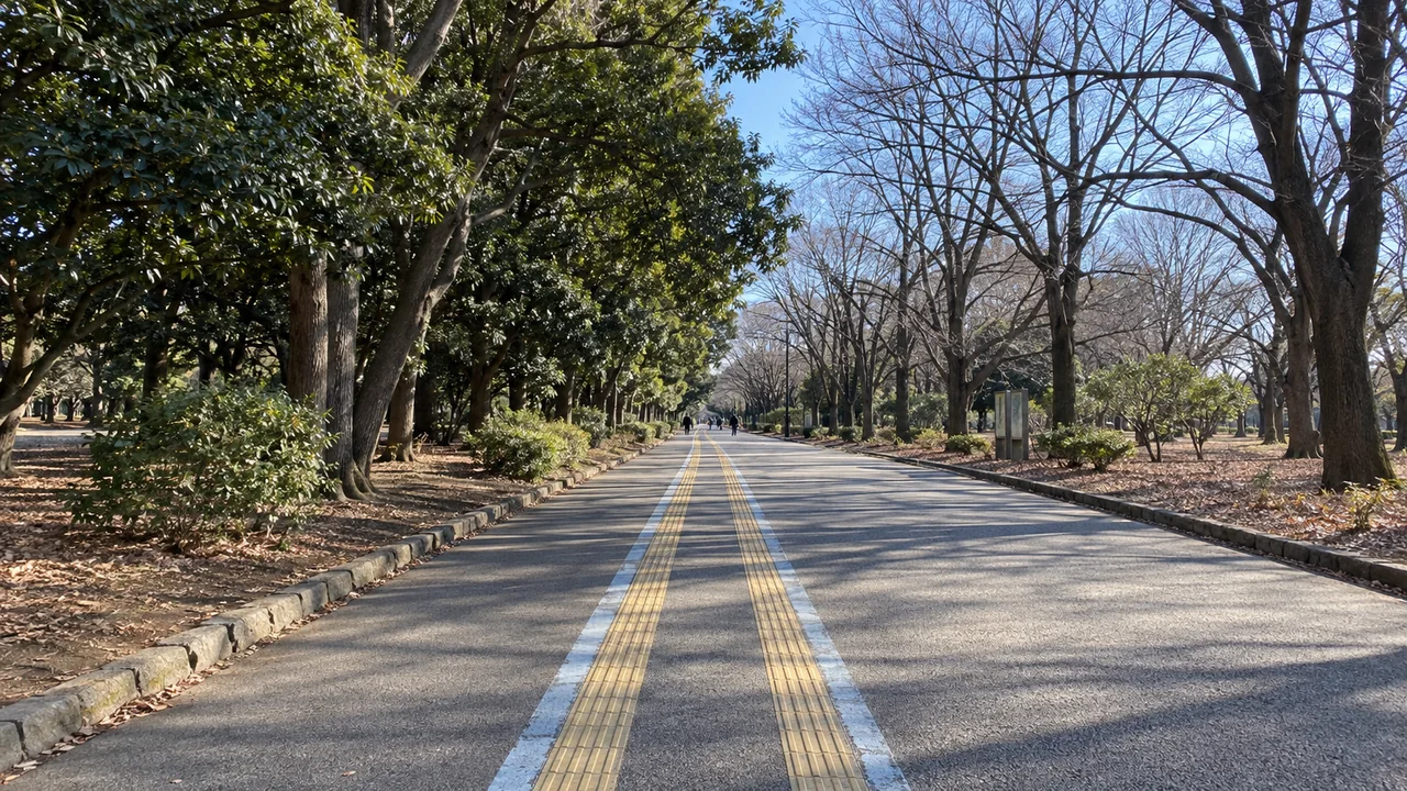 並木の下を走る北側の園路(AI生成の参考イメージ)