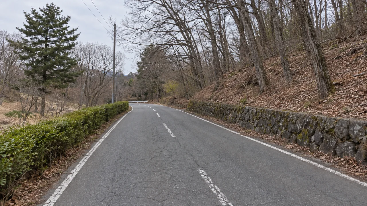 石積みと木立に沿う東側の道（AI生成の参考イメージ）