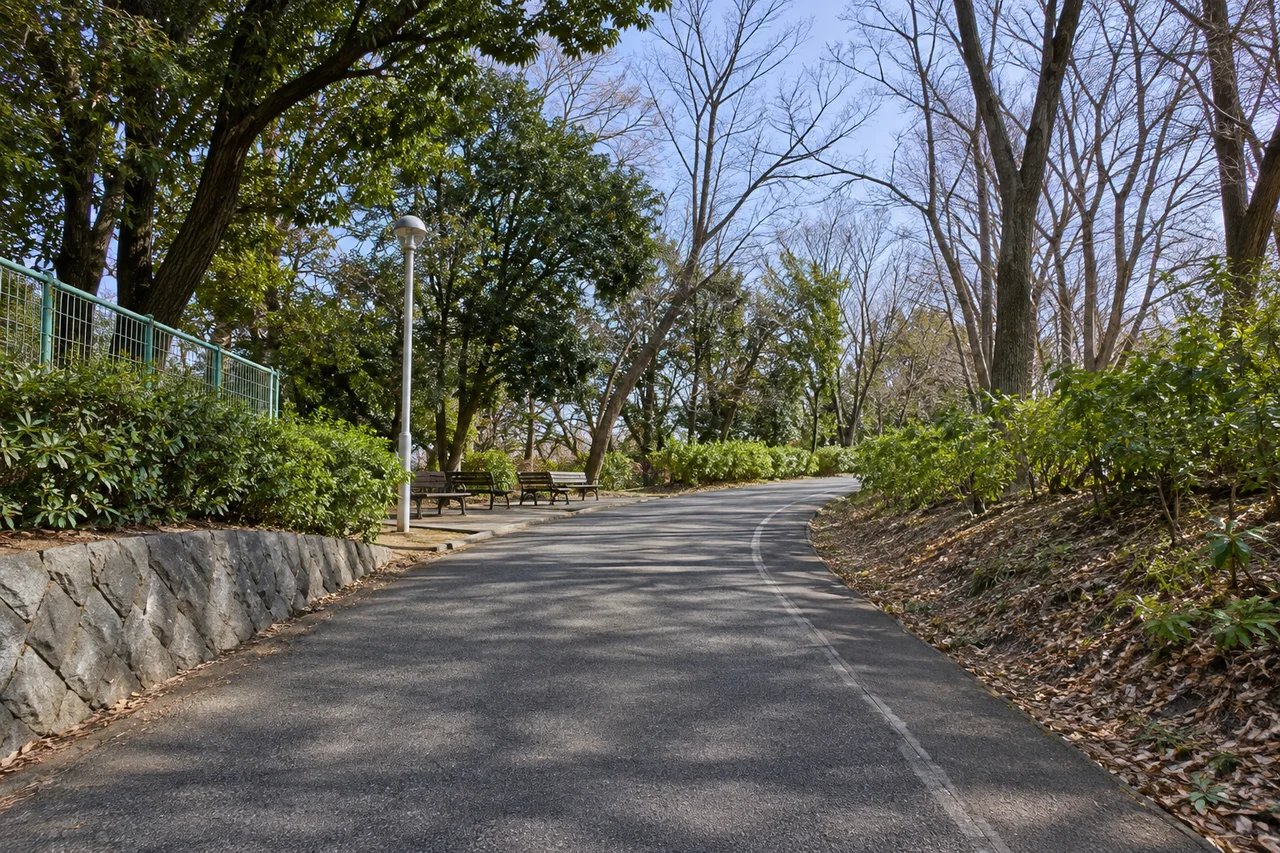北側の木立を抜ける園路(AI生成の参考イメージ)