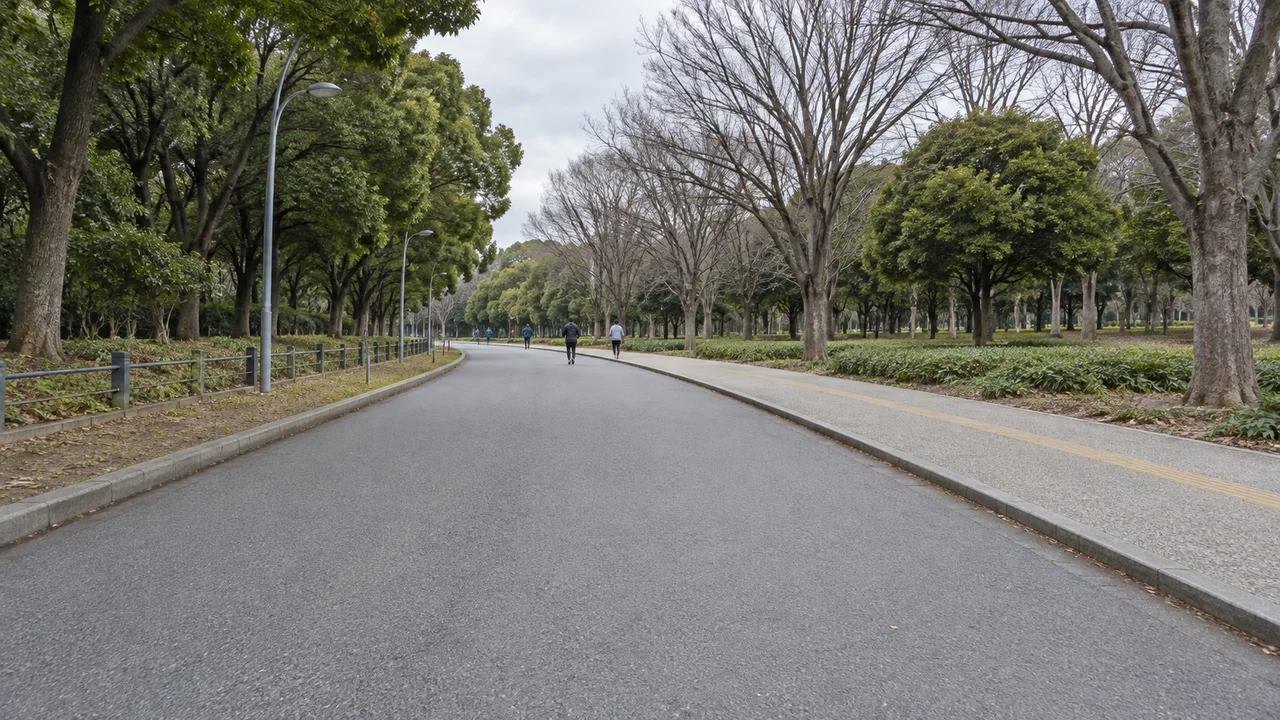 並木に沿う東側の走路(AI生成の参考イメージ)