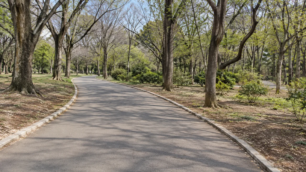 木々の間を抜ける園路（AI生成の参考イメージ）