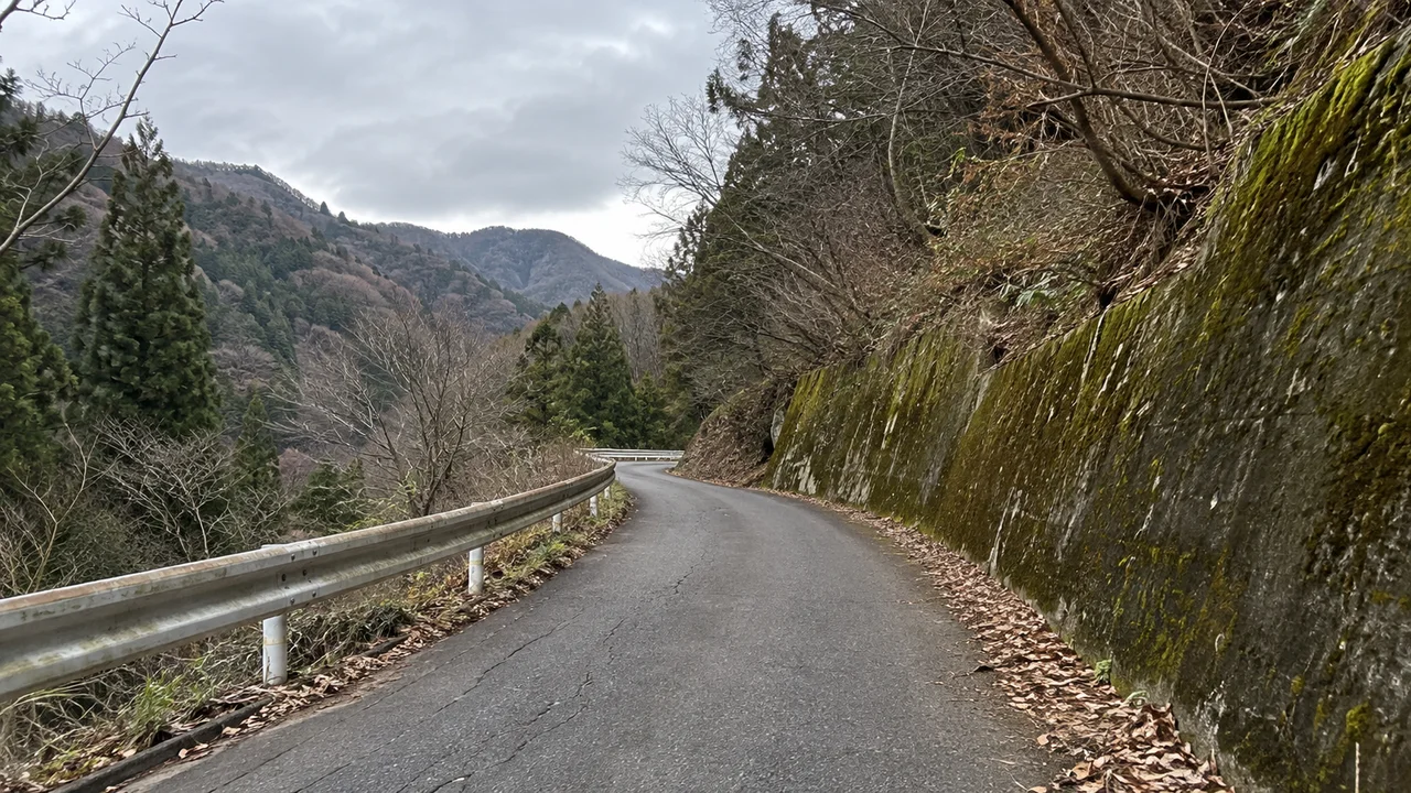 上って折り返し、同じ坂を下る・折り返し付近の山道・北東向き(AI生成の参考イメージ)