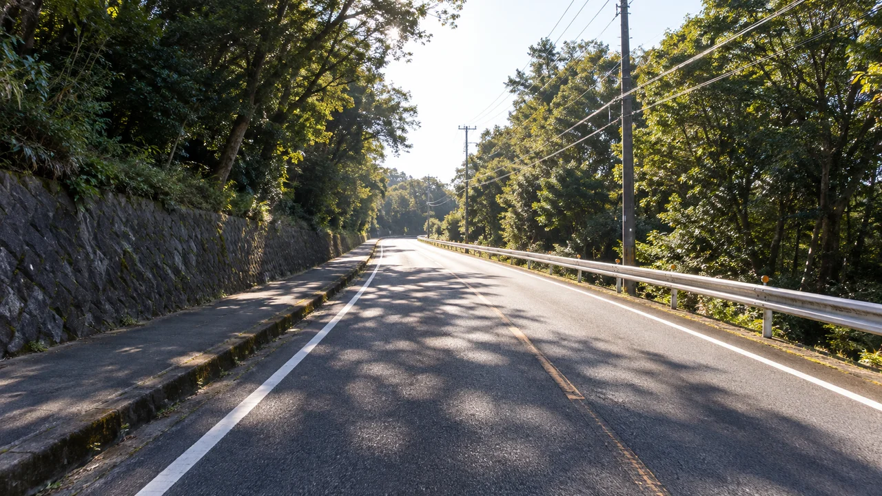 序盤から上り、池田湖へ下る・前半の林の間を上る道路(AI生成の参考イメージ)