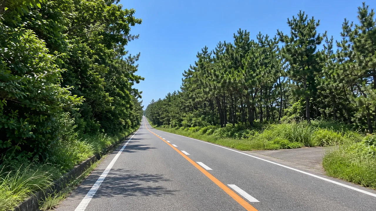 青山海岸で折り返し、信濃川沿いへ・青山海岸沿いの国道402号を南西へ（AI生成の参考イメージ）