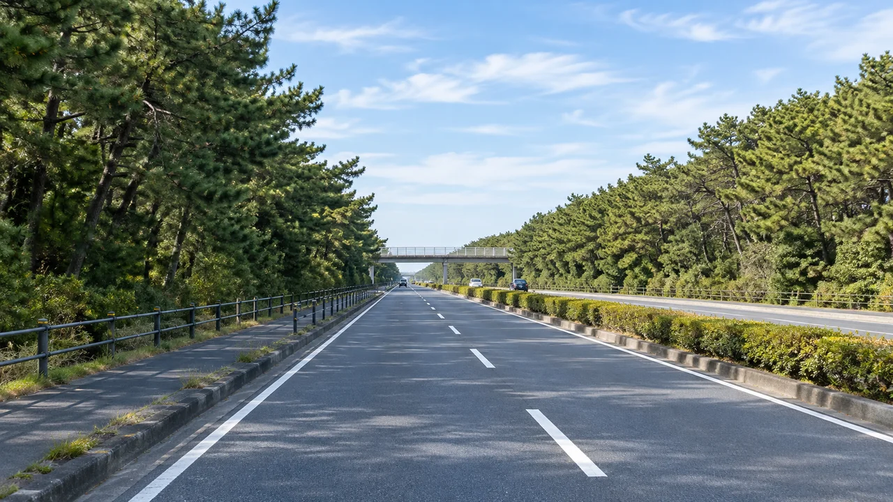 防風林沿いは、残りの距離で区切る・江の島へ戻る松林沿いの国道（AI生成の参考イメージ）