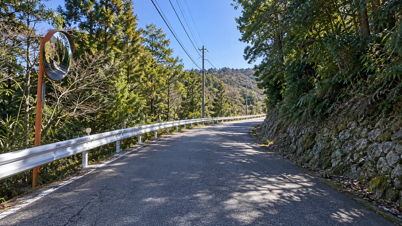 後半の大きな上りを越える・30kmを過ぎて現れる林の中の上り（AI生成の参考イメージ）
